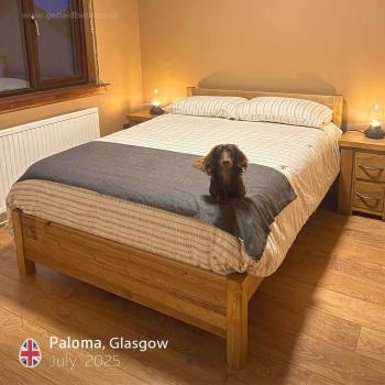 Paloma_07_25