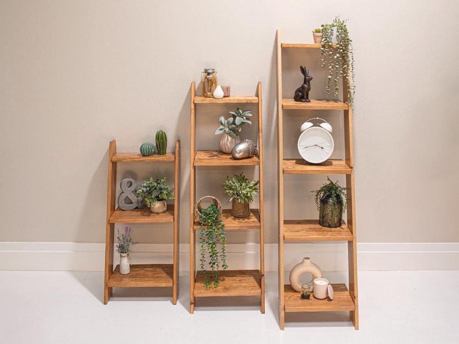 Ladder Collection