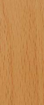 beech wood colour