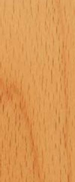 beech wood colour sample